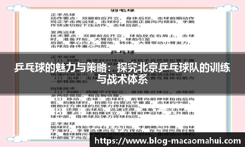 乒乓球的魅力与策略：探究北京乒乓球队的训练与战术体系